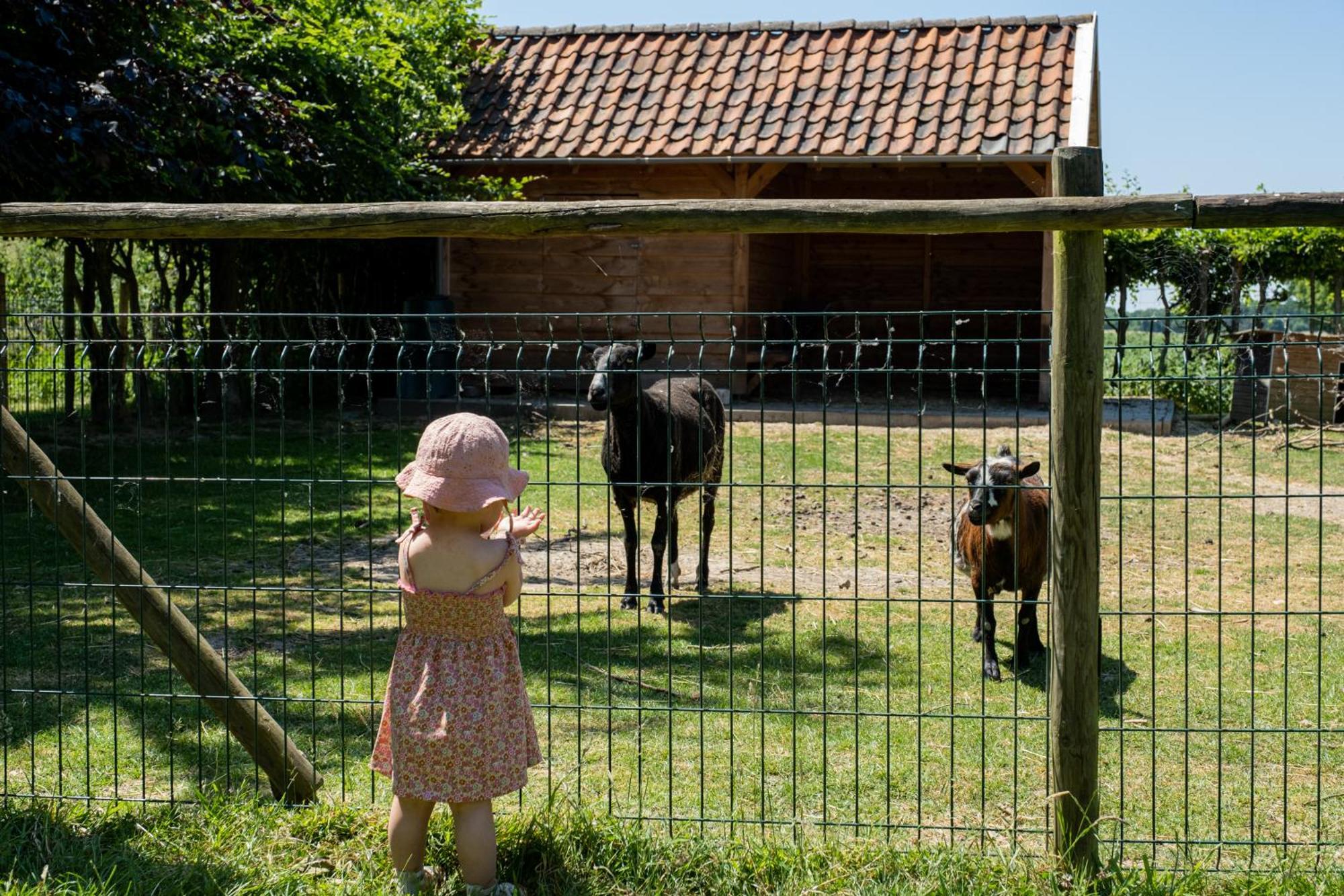 Hoeve De Binnenplaets Schimmert Exterior photo